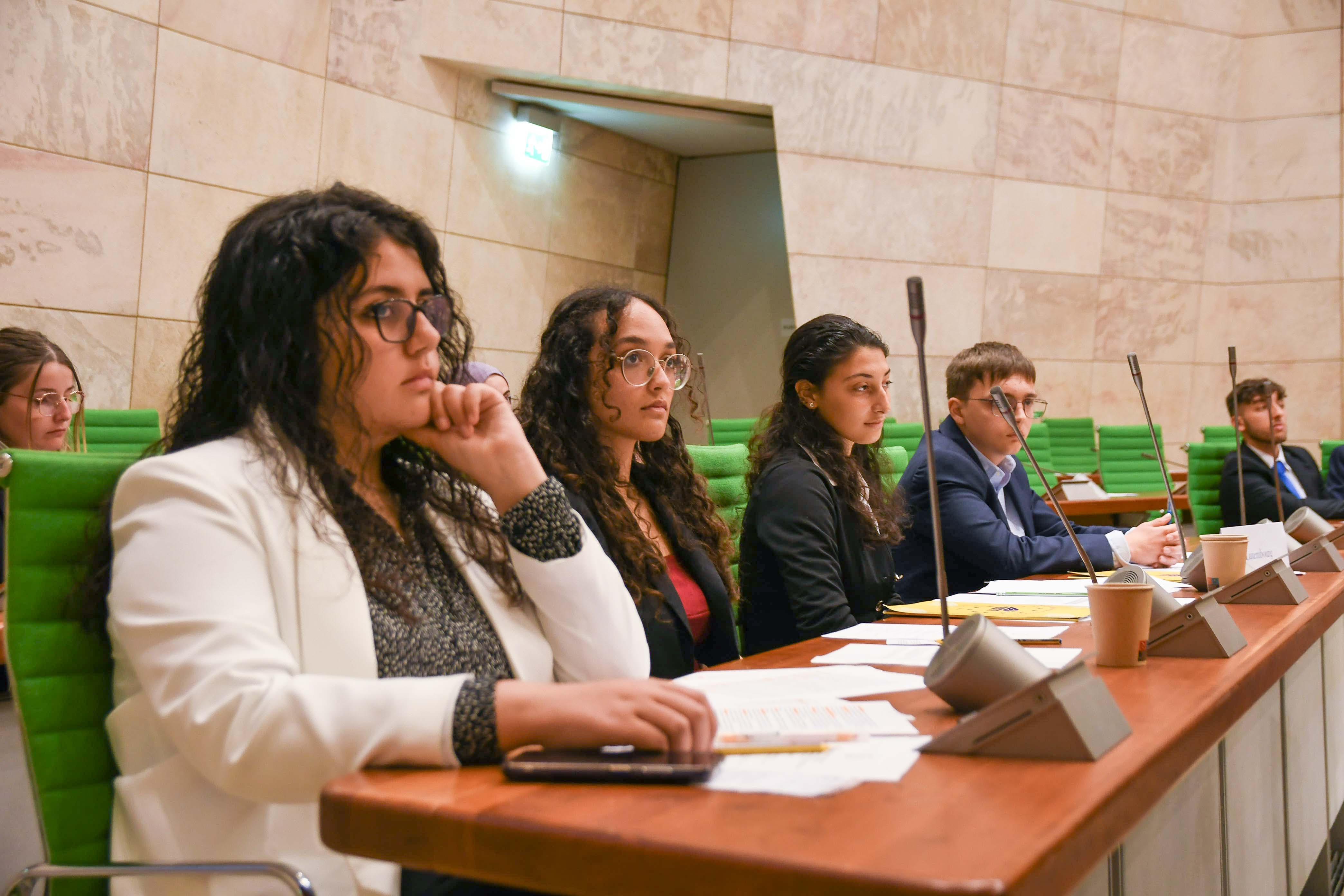 Participants at the 2023 International Mini-European Assembly at the Maltese Parliament