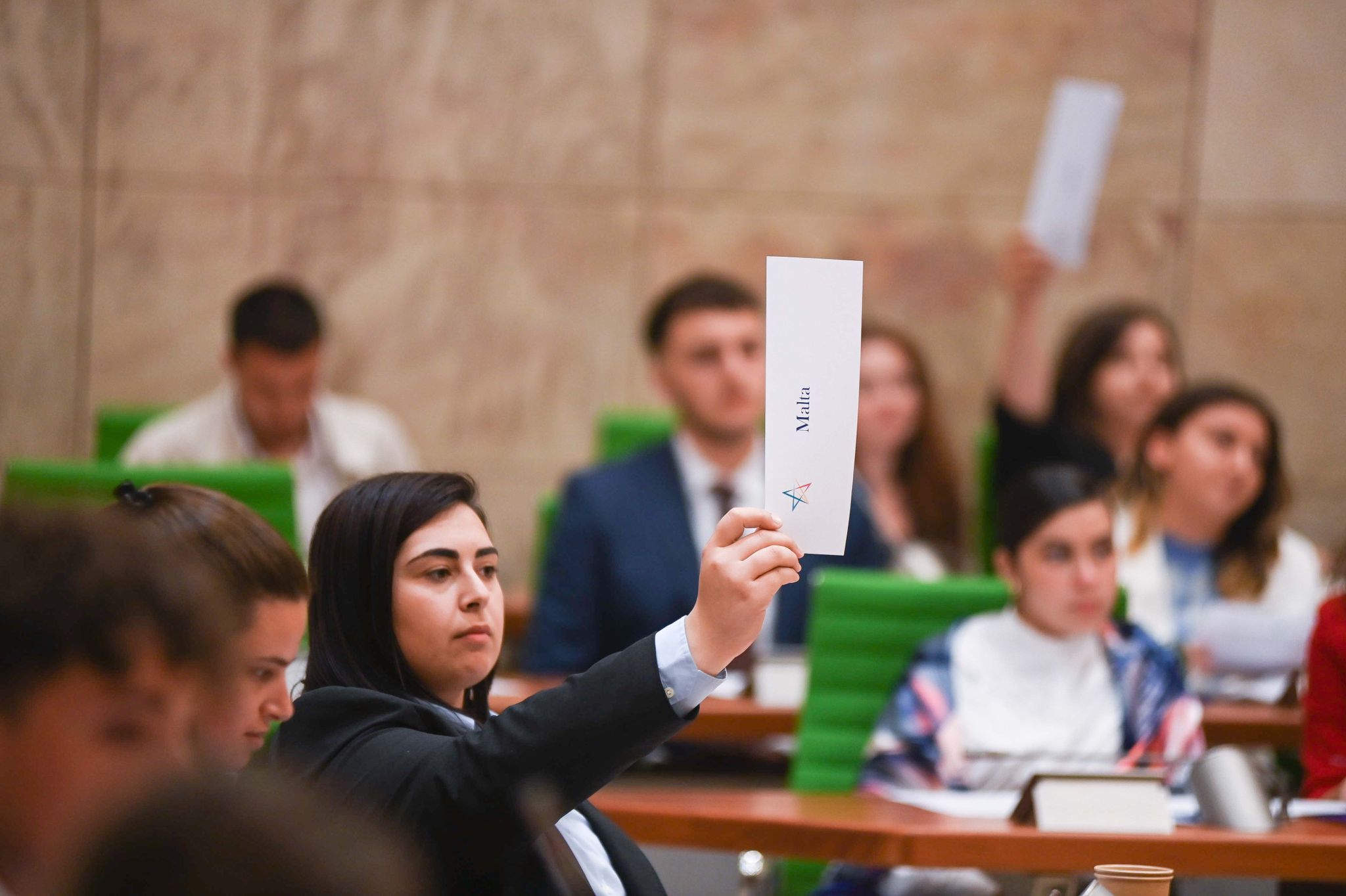 Participant at the 2023 International Mini-European Assembly at the Maltese Parliament
